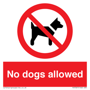 No dogs allowed